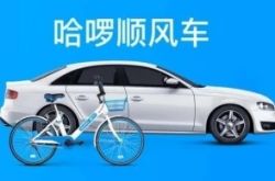 1分钟科普下!六安厂子_哔哩哔哩-3